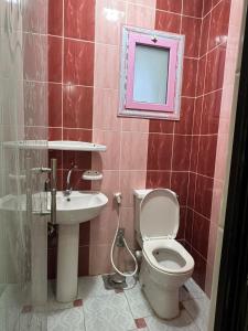 a bathroom with a toilet and a sink and a mirror at Apartment 18 Maspero in Alexandria +32 photos