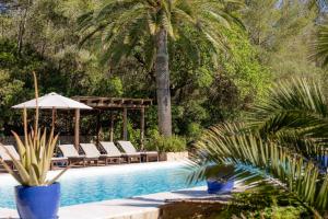 a pool with chairs and an umbrella and palm trees at Agroturismo Son Boronat in Calvià