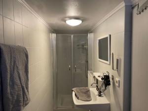 a bathroom with a shower and a sink at Apartment Appartement Wasserfall by Interhome in Stall