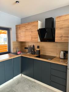a kitchen with blue cabinets and a counter top at Fangorn in Lazeshchyna +15 photos