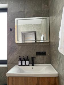 a bathroom sink with two bottles of wine on it at Fangorn in Lazeshchyna