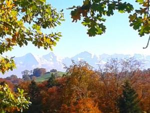 a view of a mountain range in the fall at Apartment Gurtendörfli by Interhome in Wabern