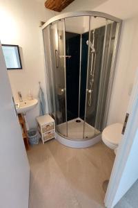 a bathroom with a shower with a toilet and a sink at Apartment Giselas Ruheplatz by Interhome in Liesberg +13 photos