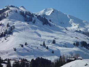a mountain covered in snow with trees on it at Apartment Appartement Eggmatte by Interhome in Grimmialp