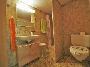 a bathroom with a white toilet and a sink at Apartment Appartement Eggmatte by Interhome in Grimmialp +7 photos