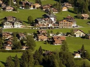 a group of houses on a green hillside at Apartment Frohmatt by Interhome in Adelboden