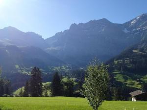 a green field with mountains in the background at Apartment Frohmatt by Interhome in Adelboden