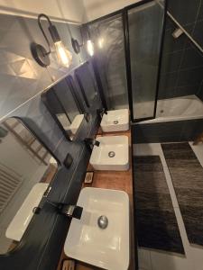 a bathroom with two toilets and a sink at La maison bleue avec une grande piscine chauffée in Bozouls +26 photos