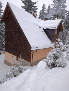 a snow covered roof of a building with snow at Vikendica SANA Vlašić in Šišava