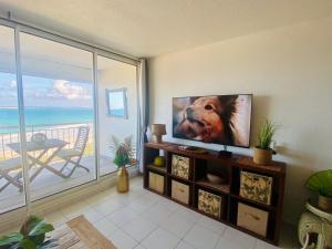 a living room with a television with a dog on the screen at Excellence Suites Orient Beach Oceanview King-Size Beach Pool Parking in Cul de Sac