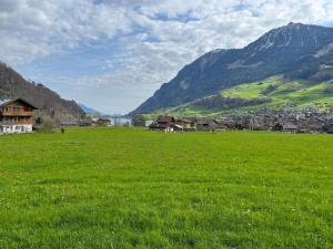 a field of green grass with mountains in the background at Apartment Lungern by Interhome in Lungern