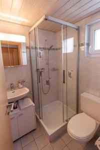 a bathroom with a shower and a toilet and a sink at Apartment Anneliese Schaad Studio by Interhome in Hasliberg Wasserwendi