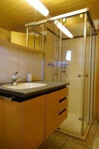 a bathroom with a sink and a shower at Apartment Haus Brog by Interhome in Rohrmatten