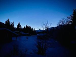 a night view of a field with snow and trees at Apartment Chalet Bacchus - EG by Interhome in Sörenberg