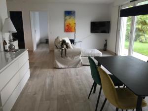 a dog sitting on a couch in a living room at Apartment Weggis by Interhome in Weggis