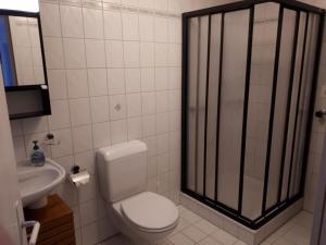 a bathroom with a toilet and a sink and a shower at Apartment Baldo by Interhome in Sörenberg +4 photos