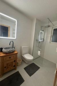 a bathroom with a toilet and a sink and a shower at Apartment Sonnehüsli by Interhome in Flühli
