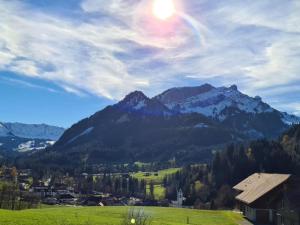 a view of a valley with mountains in the background at Apartment Sonnehüsli by Interhome in Flühli +2 photos