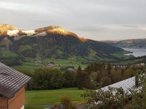 a view of a mountain with a town and a lake at by Interhome in Sattel