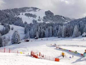 a snow covered ski slope with trees on a mountain at by Interhome in Sattel