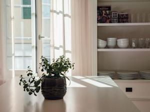 a potted plant sitting on a table in a kitchen at Holiday Home Verena's B&B by Interhome in Sachseln