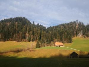 a house on a hill in the middle of a field at Apartment Karotte by Interhome in Trub +7 photos