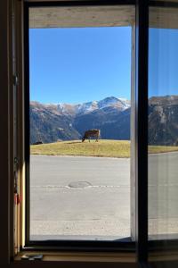 a cow standing in a field viewed through a window at Apartment Poste viglia by Interhome in Lohn