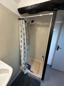 a bathroom with a shower curtain in a room at Duplex au cœur de la Bastide in Villefranche-de-Rouergue