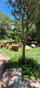 a park with a tree and benches in the grass at Tu Lugar en Capilla Del Monte in Capilla del Monte +13 photos