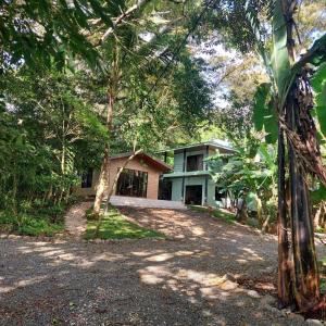 a house in the middle of a forest at Green Trails Miravalles in Bagaces