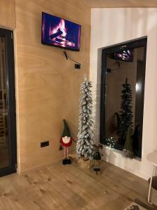 a living room with two christmas trees and a tv at Tiny Marae in Straja
