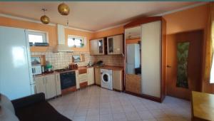 a kitchen with a washer and dryer in it at Затишні Апартаменти Берегове in Berehove