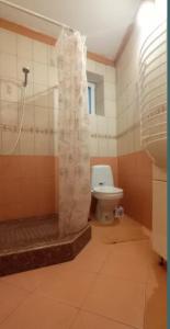 a bathroom with a shower with a toilet and a sink at Затишні Апартаменти Берегове in Berehove