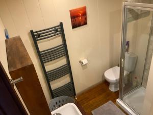 a bathroom with a shower and a toilet at Skye Lodge in Tighnabruaich +14 photos