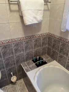 a bathroom with a toilet and a bath tub at Ríocht Fódla 3 in Killarney