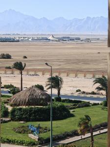 a view of a beach with palm trees and a street light at Avrio Red Sea in Hurghada