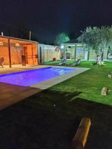 a backyard at night with purple lights in the grass at Complejo Los Olivos in Ciudad Lujan de Cuyo