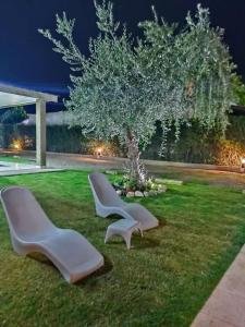 two white benches sitting in the grass at night at Complejo Los Olivos in Ciudad Lujan de Cuyo