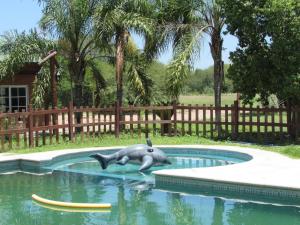 a dolphin statue in the water in a pool at Complejo Kallpa in Santiago del Estero +21 photos