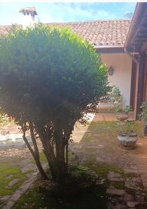 a small tree in front of a house at Recantos das Avencas in Água Boa