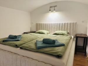 a bedroom with a large bed with two pillows on it at Apartmány Palackého in Tábor