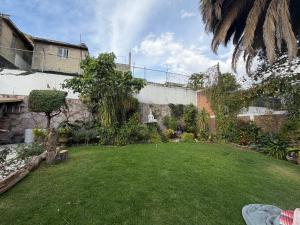 a backyard with a yard with a green lawn at CasaButique in Mexico City