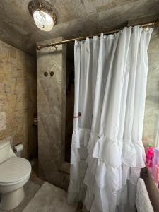 a white shower curtain in a bathroom with a toilet at CasaButique in Mexico City +13 photos