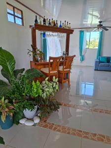 a living room with a table and chairs and plants at Dream Sleep in Drake