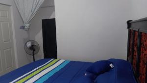 a bedroom with a blue bed and a fan at Spacious house near the beach in Mazatlán