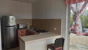a kitchen with a stainless steel refrigerator and a window at Spacious house near the beach in Mazatlán