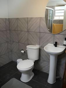 a bathroom with a toilet and a sink and a mirror at Casa completa en Carretera Austral KM 23 con Fibra Óptica in Puerto Montt