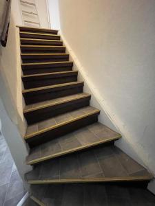 a set of stairs in a building at Haus Zum Bacchus Privates Unterkunft nahe Bahnhof Römisches Theater, Mainz in Mainz