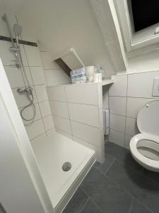 a small bathroom with a shower and a toilet at Haus Zum Bacchus Privates Unterkunft nahe Bahnhof Römisches Theater, Mainz in Mainz