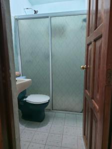 ein Badezimmer mit Toilette und Duschabtrennung aus Glas in der Unterkunft Hotel Nueva Alianza in Frontera Corozal